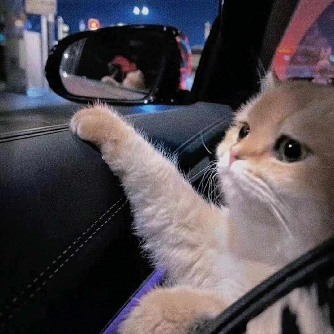 *拾柒*