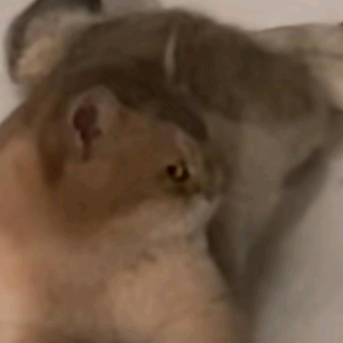 西安第一深情