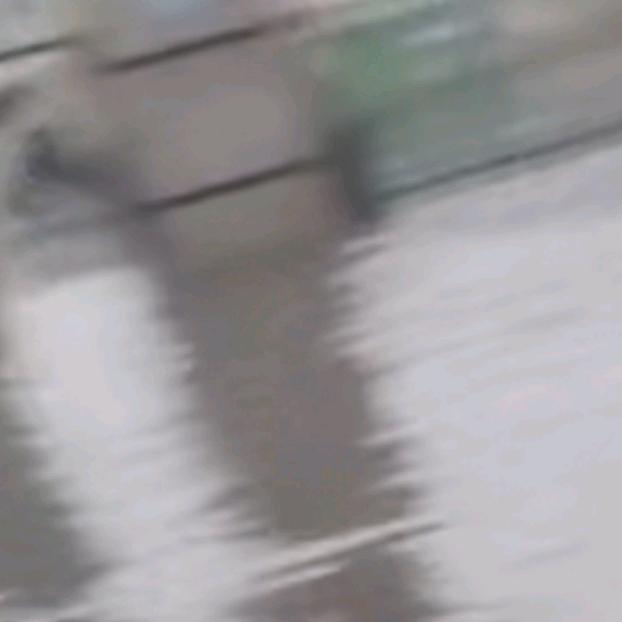 专业玩马鞭