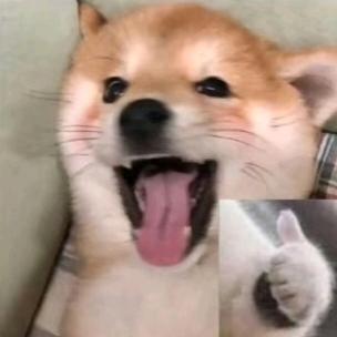 我好钟离你