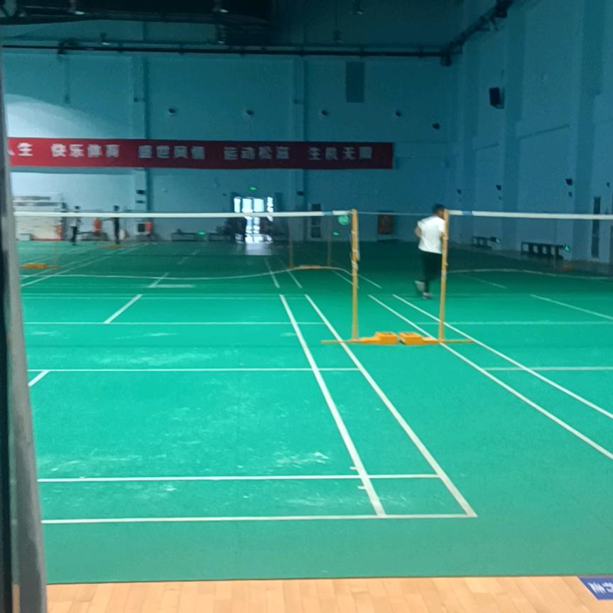罗马复兴杨小伟