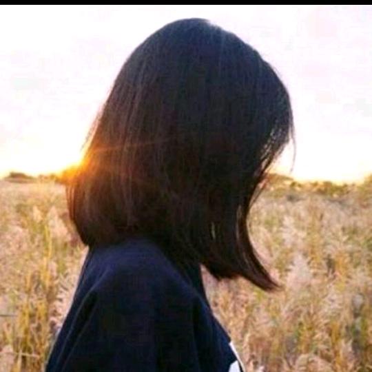 @七秒钟的记忆24722