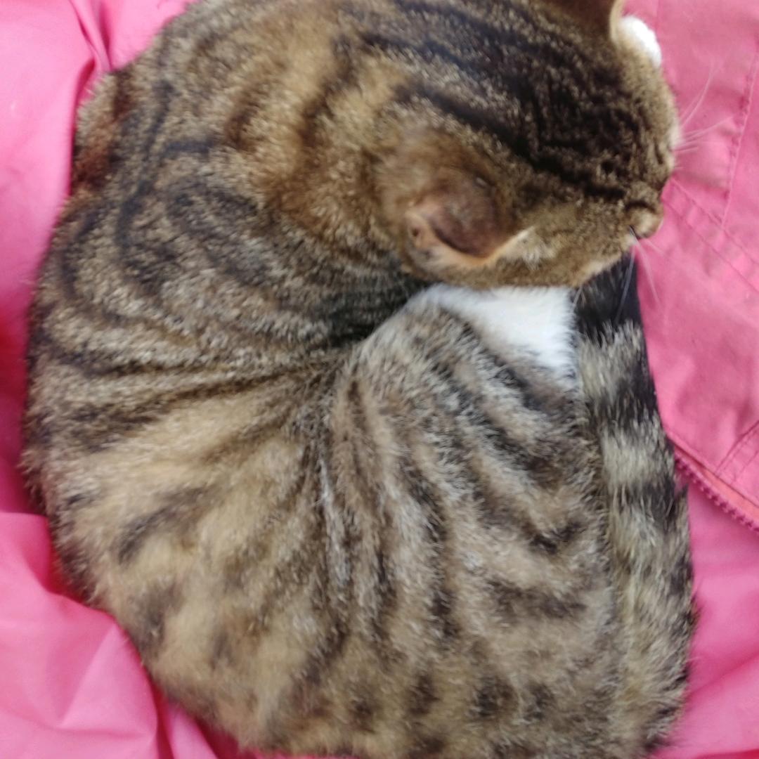 殇，那年，暖冬。