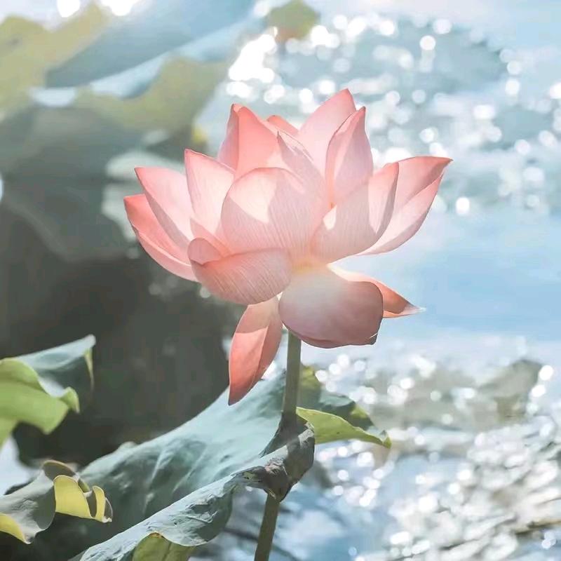 开心💖