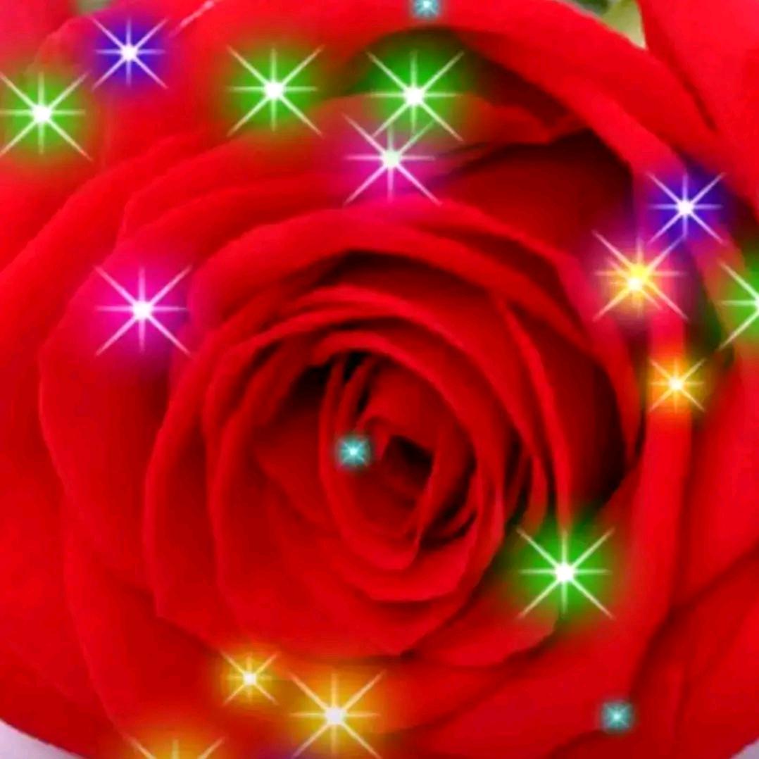 花开花落1