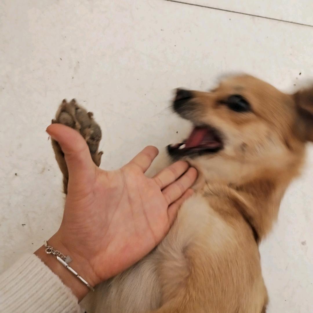 小洁子zzz
