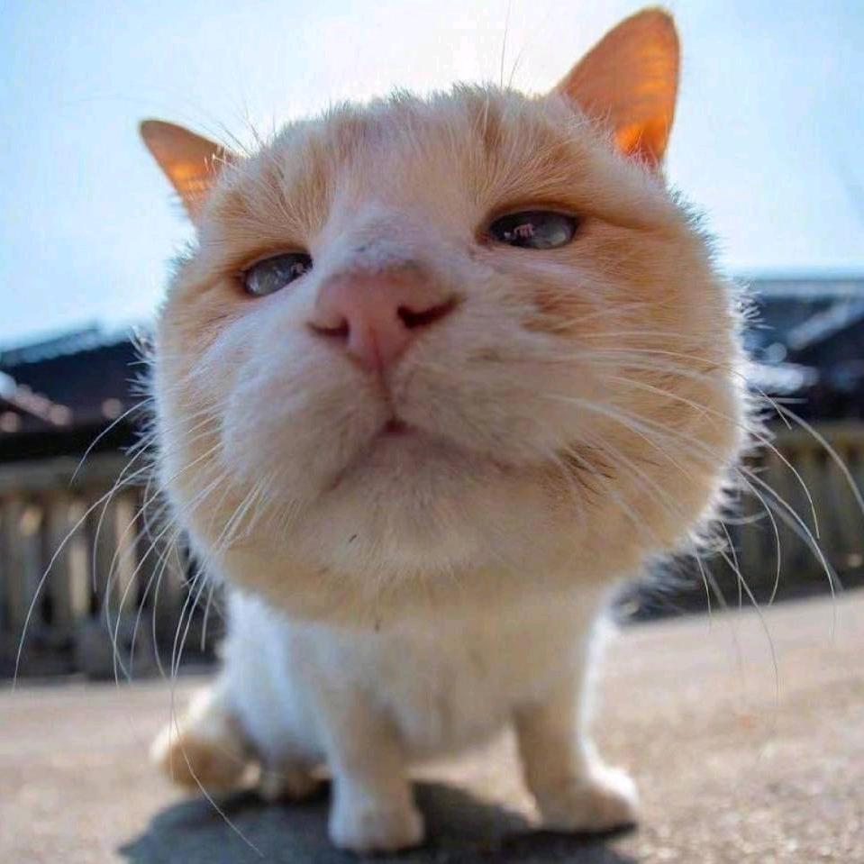 随便看看i