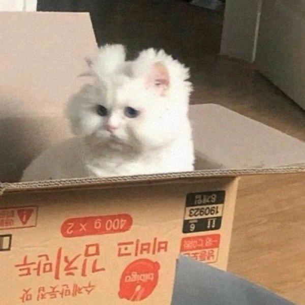 过犹不及