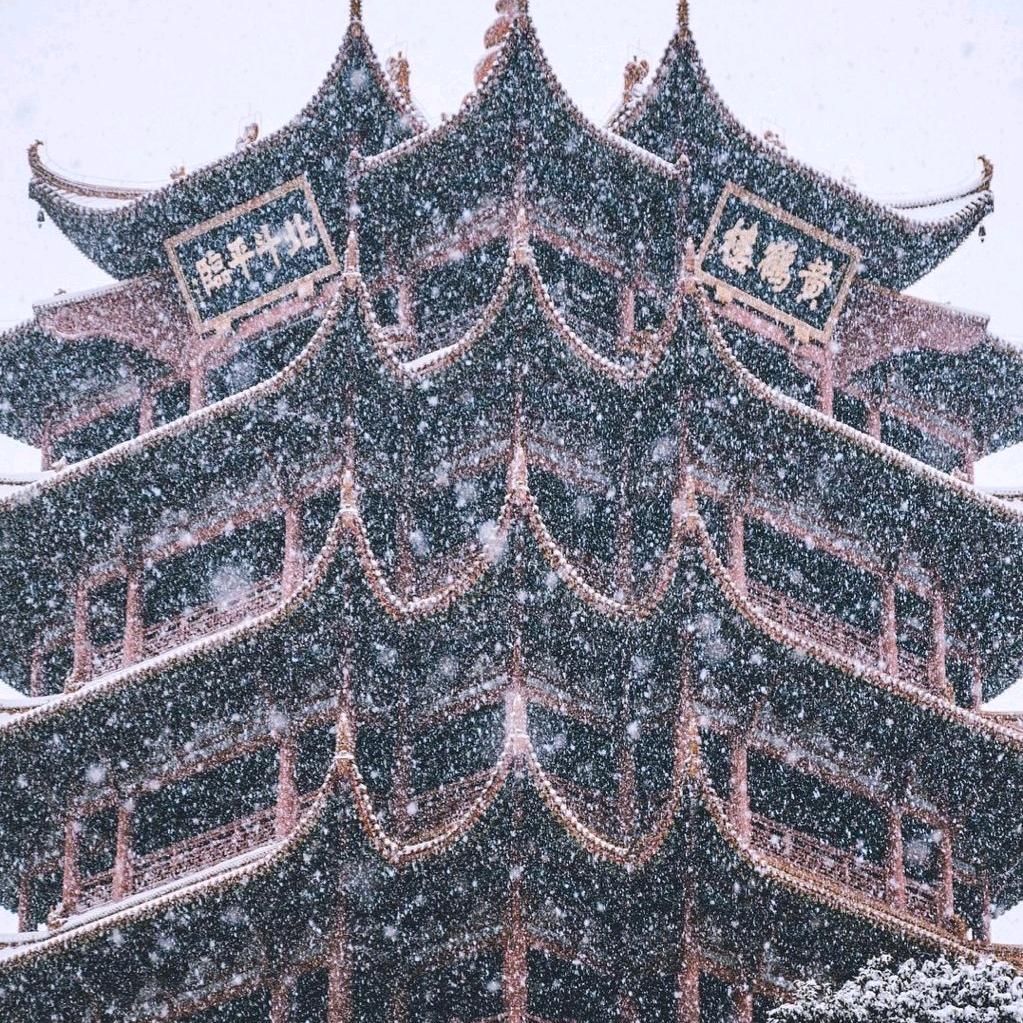 ︍︍等风来