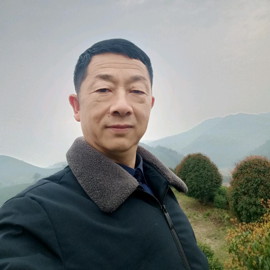 圣云茶叶