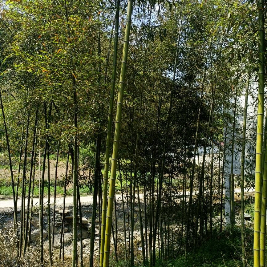 余开富