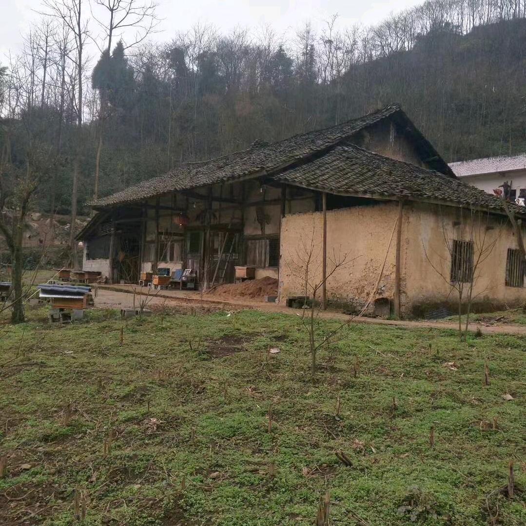 努力做好自己就行