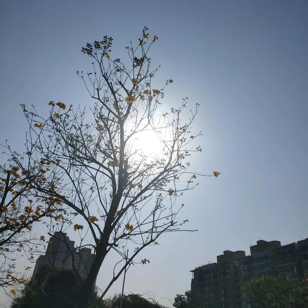 浪了一生的哥