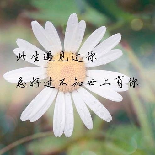 @向日葵的微笑