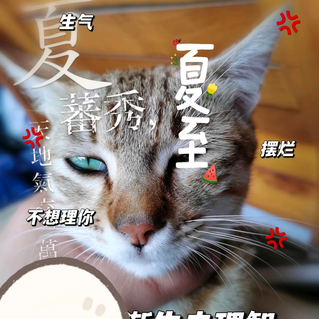 竹子