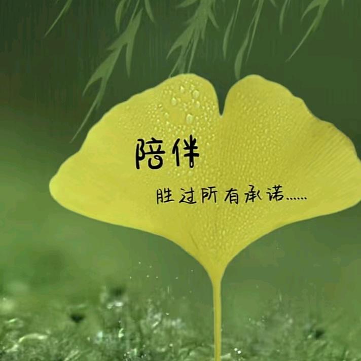 一叶知秋（陈）