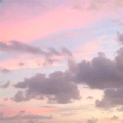 ╰☆╮⑥丹の
