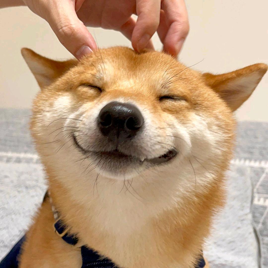 昀弥头像