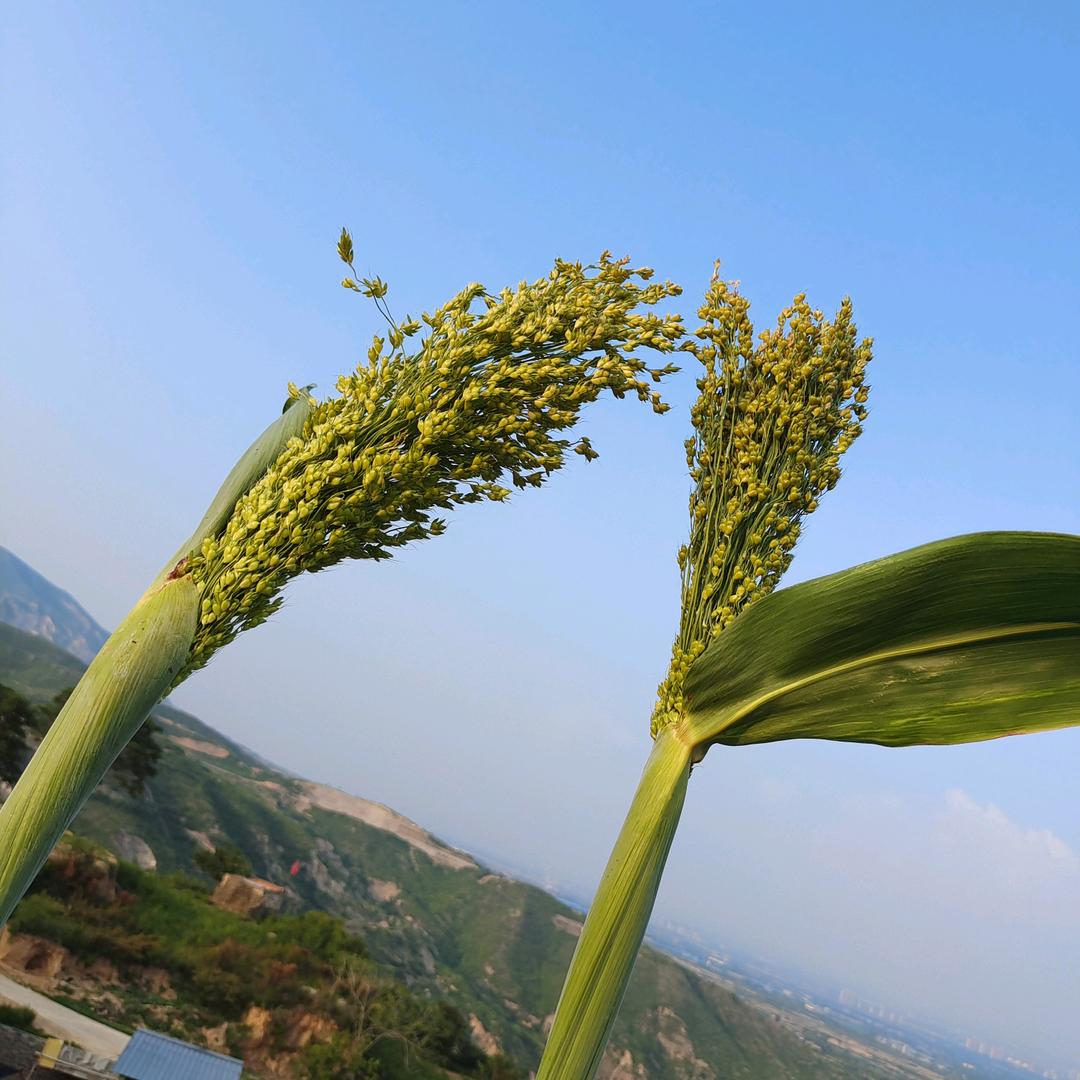 冷漠