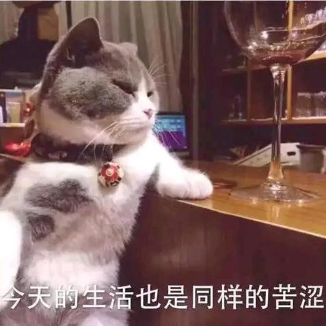 小青龙