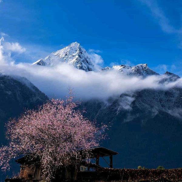 幸福永远