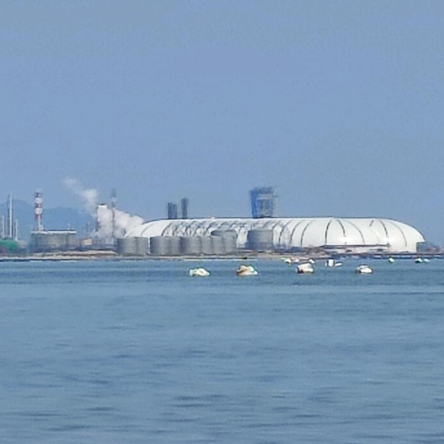 阿萍爱追剧