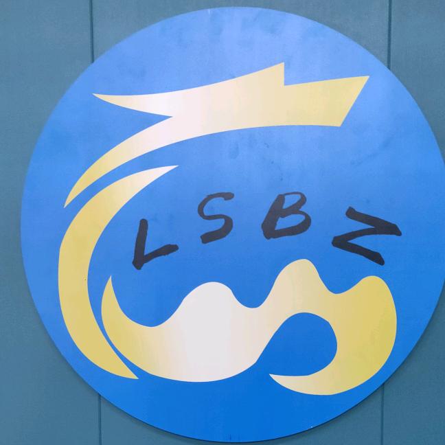 LSBZ37851