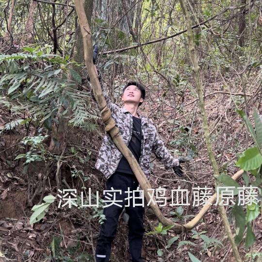 穿山勇