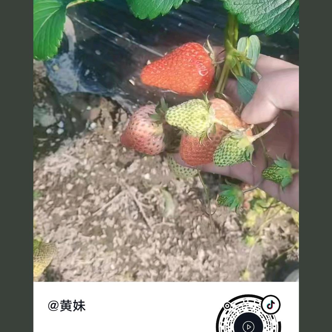 用户6918114228797小赵