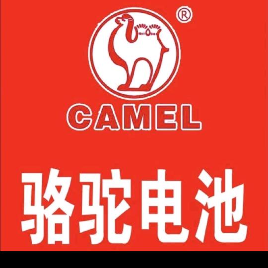 张家川总代理骆驼蓄电池