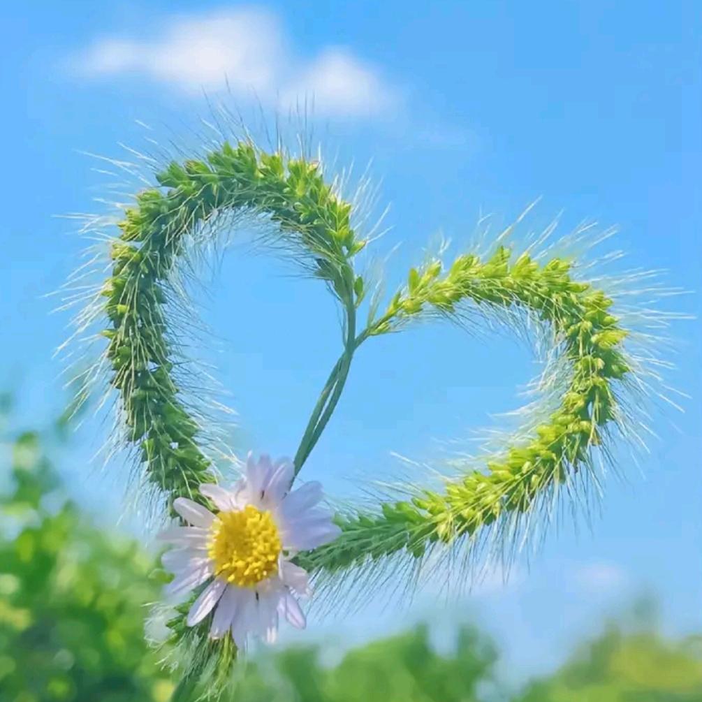 春 暖 花 开时间去哪了