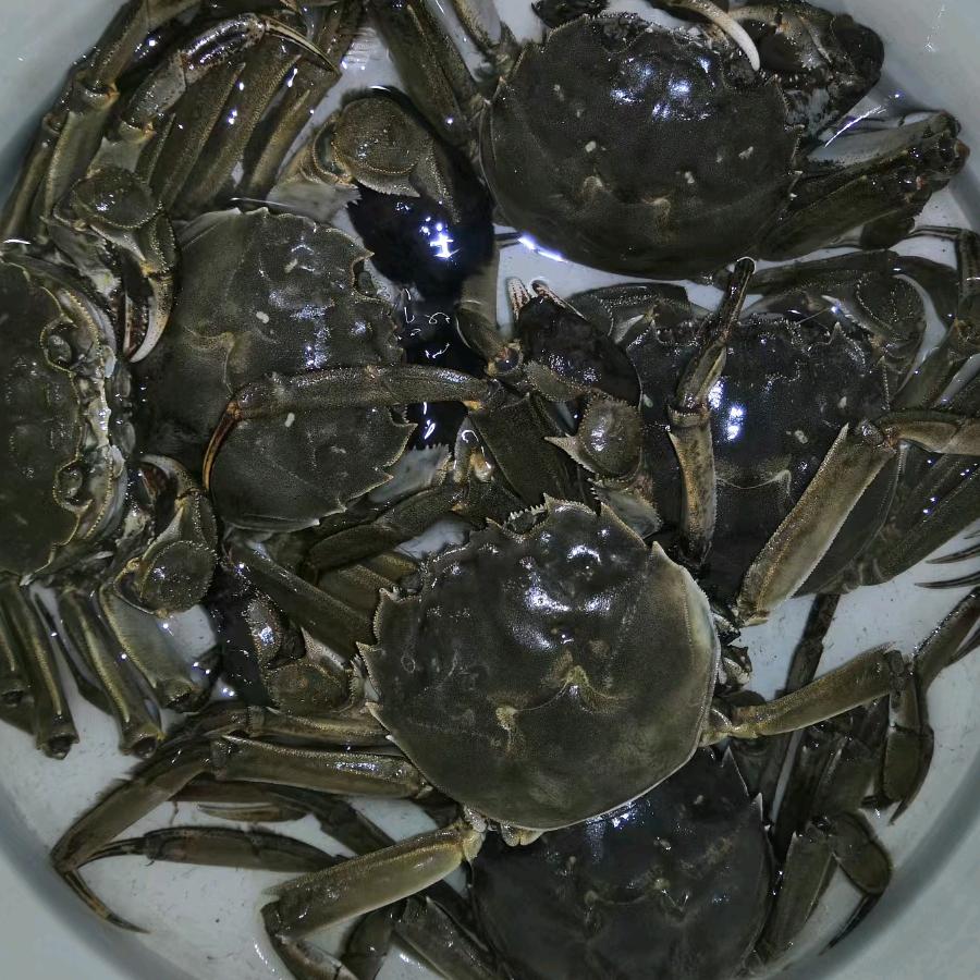 海一风