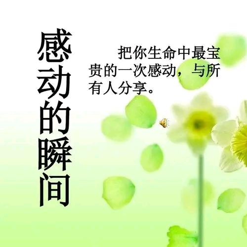 睿智的爱