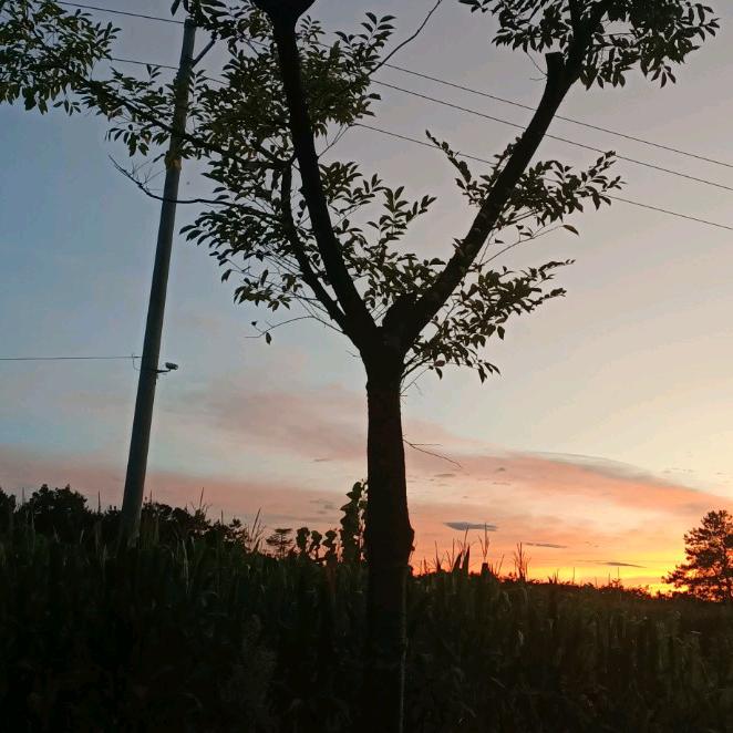 ♥*^_^*眼里有星辰♥