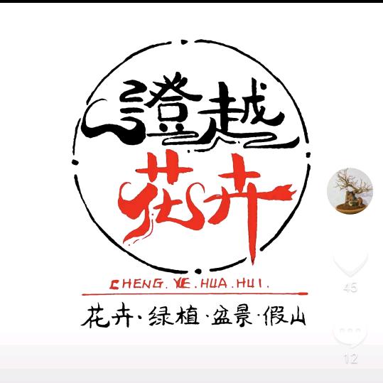 澄越花卉_迎宾小院