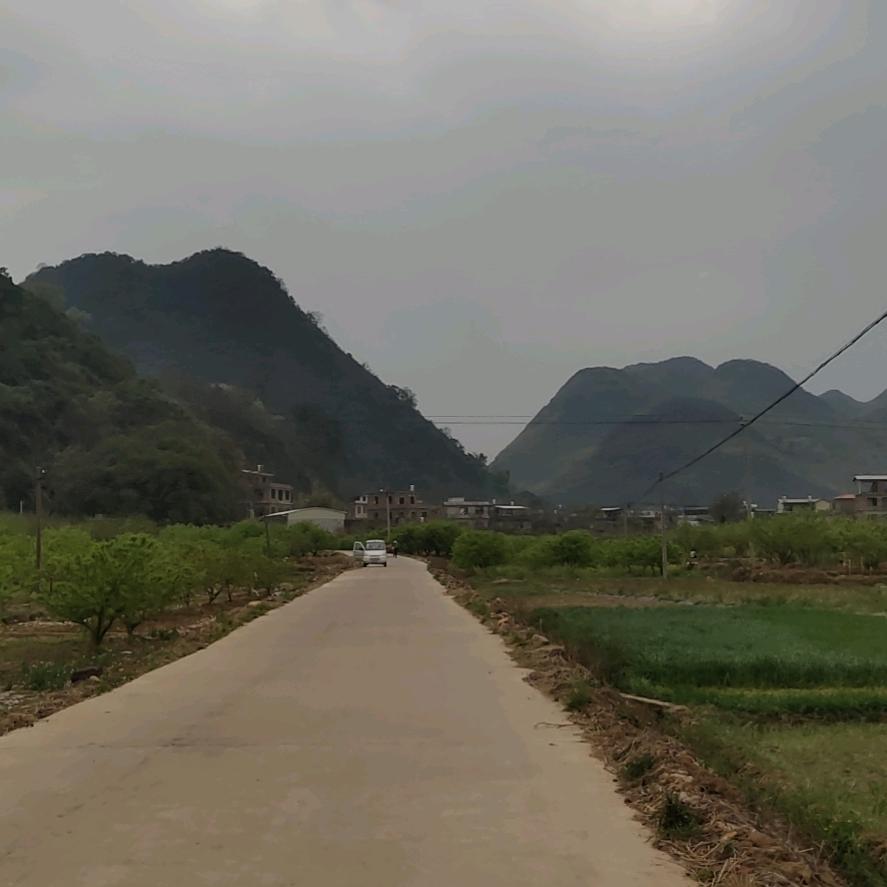 瑞少