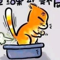 星宿小仙头像
