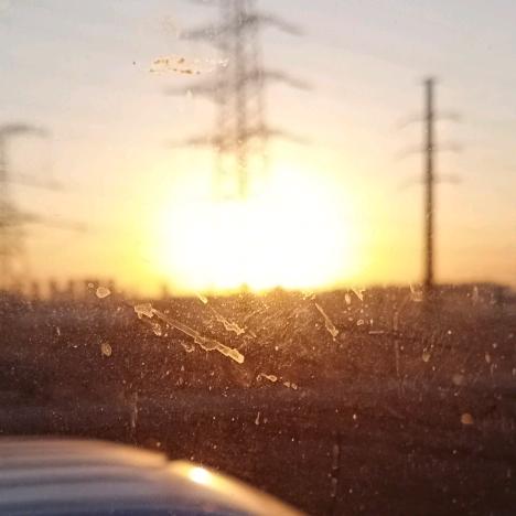 大木杉，现在吃不了那么多了正在减肥。