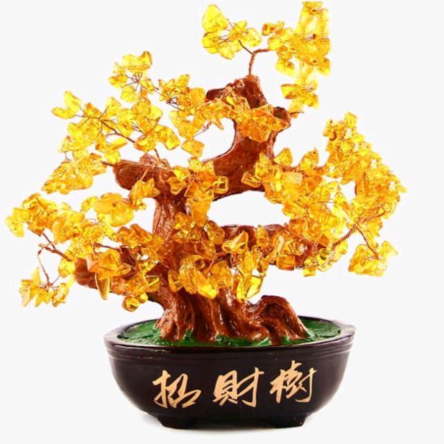 姚钱树8