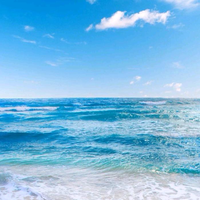 怒放青春(低调哥)