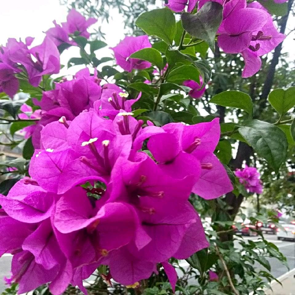 一切随意