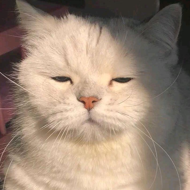 发明天才的耦合器