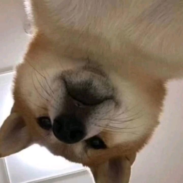 黄军