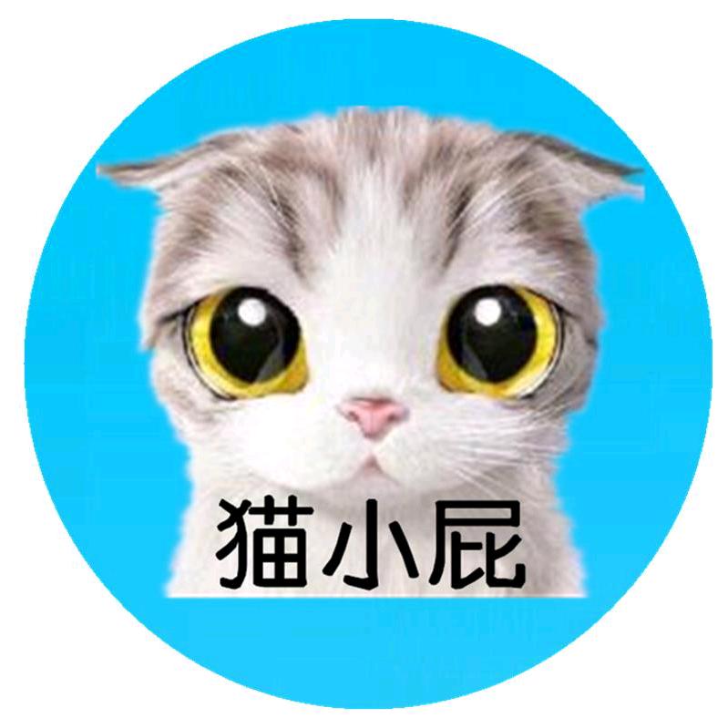 猫小屁 旧衣 二手家电白山回收分拣总厂