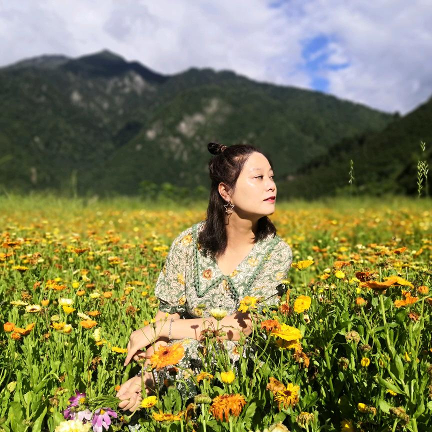 踏雪寻梅