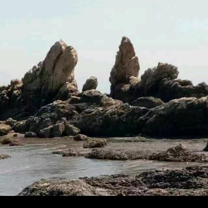 成功白❤️❤️❤️