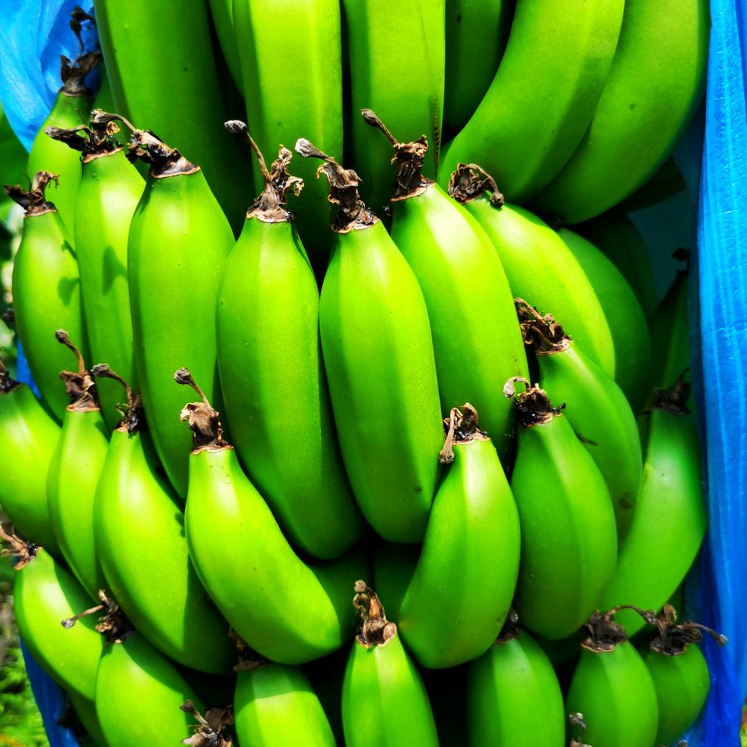 小坏蛋🇨🇳🇨🇳💰？