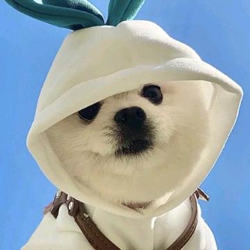 疲惫小少年