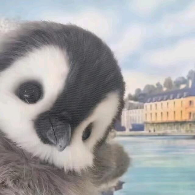 阿林.
