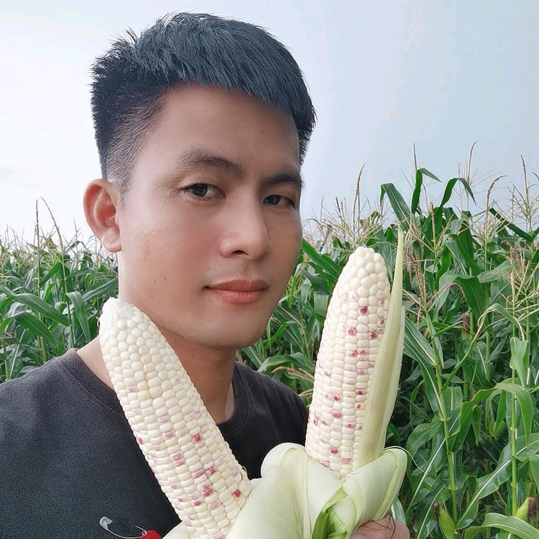 乡下小伙梓茂